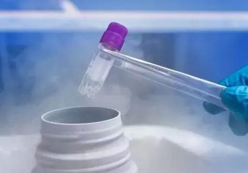 10個人做試管嬰兒幾個能成功？做試管一次成功的是哪些？